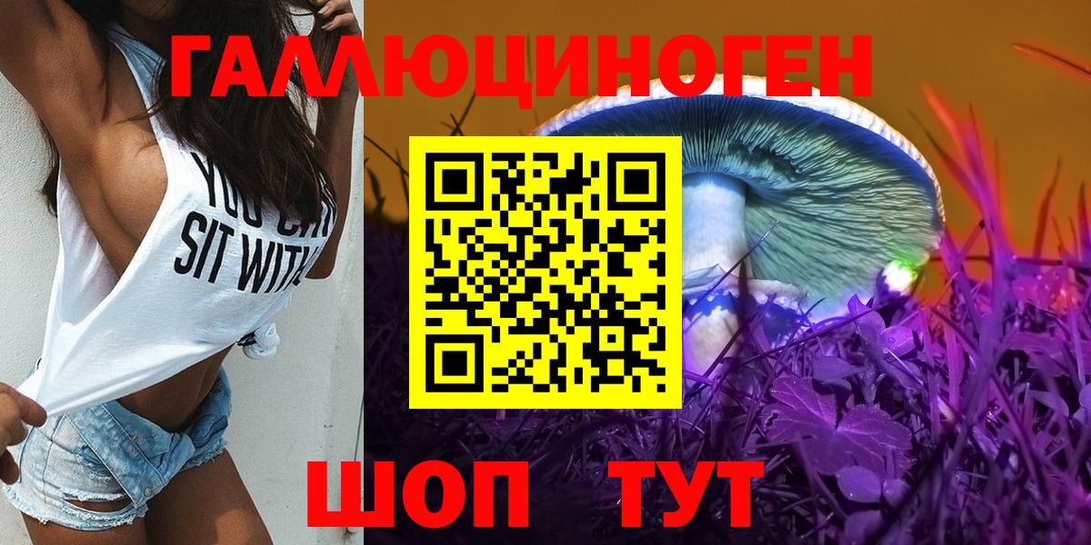 Псилоцибиновые грибы Psilocybine cubensis Заволжье