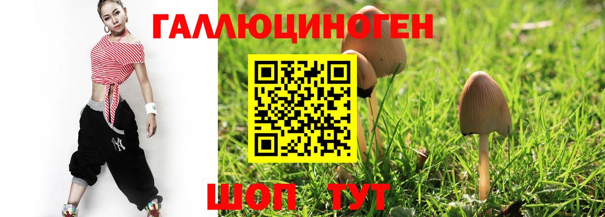 Галлюциногенные грибы мицелий  наркота  Заволжье  Вход с VPN 